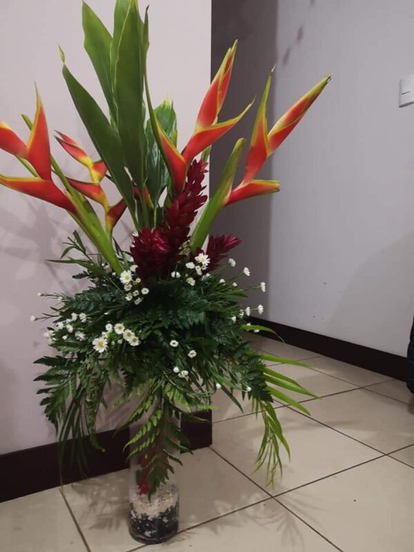 Heliconias